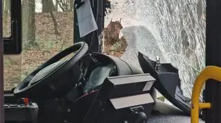 Zderzenie w Zaborówku 