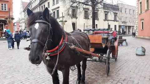 Na warszawskiej Starówce w od wielu lat funkcjonowało siedem dorożek