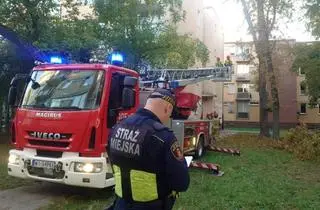 Potężny konar mógł runąć na budynek