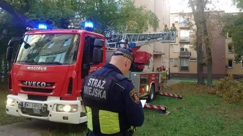 Potężny konar mógł runąć na budynek