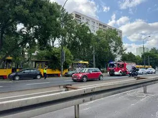 Konar spadł na tory tramwajowe 
