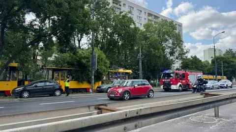 Konar spadł na tory tramwajowe 