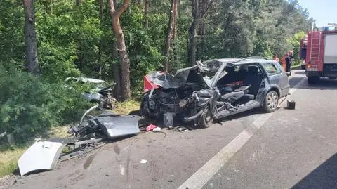 Tragiczny wypadek pod Legionowem. Jedna osoba zginęła, dwie są ranne. "Przyczyną był łoś"