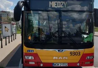 Pluszowy jamnik był zawsze za szybą autobusu