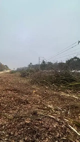 Wycinka w okolicy stacji Warszawa Miedzeszyn 