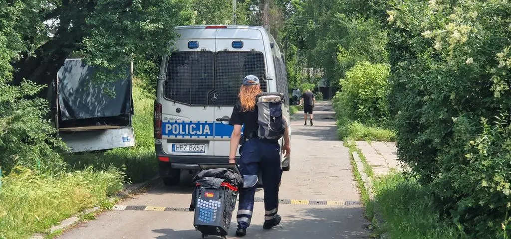 Kilkanaście osób zajęło jeden z domków na Osiedlu Przyjaźń, interweniowała policja
