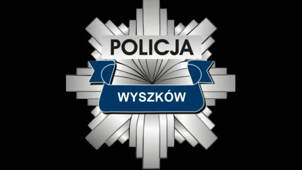 krowy