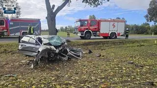 Kierowca wjechał do rowu na dk 79