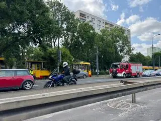 Konar spadł na tory tramwajowe 