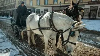 Plan filmowy do kinowej adaptacji "Lalki" na Krakowskim Przedmieściu