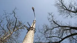 Na Mickiewicza będą nowe pastorały