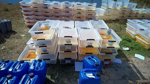 Linia produkcyjna narkotyków zlikwidowana 