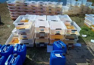 Linia produkcyjna zlikwidowana. Znaleźli prawie tonę narkotyków