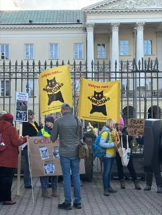 Protest kocich wolontariuszy ze Schroniska na Paluchu 