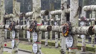 Brzozowe krzyże w kwaterze Batalionu "Zośka"