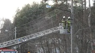 Drzewo spadło na przewody elektryczne