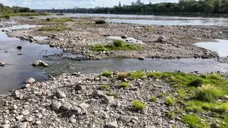 Rekordowo niski poziom wody w Wiśle