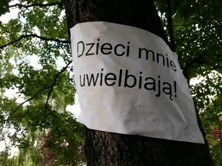 Na drzewach pojawiły się napisy sprzeciwiające się ich wycince