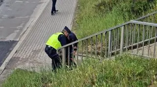 Aktywiści Ostatniego Pokolenia zablokowali trasę S8