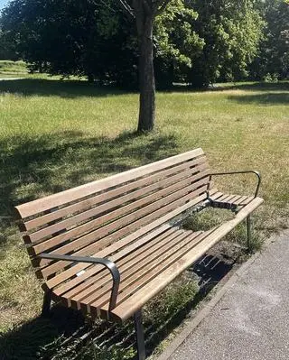 Wandalizm w parku