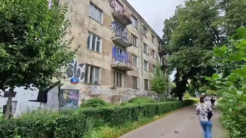 WhatsApp Video 2025-07-29 at 11