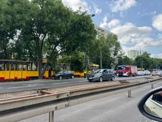 Konar spadł na tory tramwajowe 