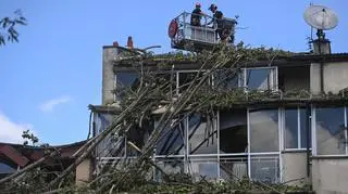 Akcja usuwania złamanego drzewa