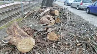 Wiatr zerwał trakcję 