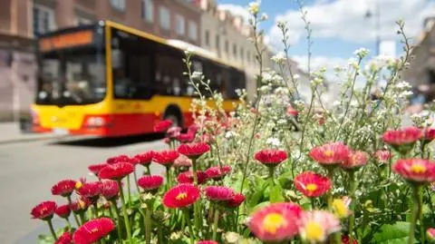 Metro, autobusy, tramwaje. Sporo zmian w długi weekend majowy