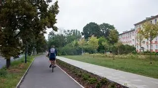 Powstanie park linearny wzdłuż ulic: Rudnickiego, Perzyńskiego i Podczaszyńskiego