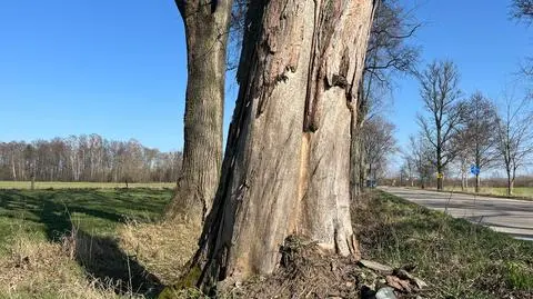 Ojciec był pijany, Miłosz nie żyje. Wyrok sądu i "największa kara, która nigdy nie zostanie zatarta" 