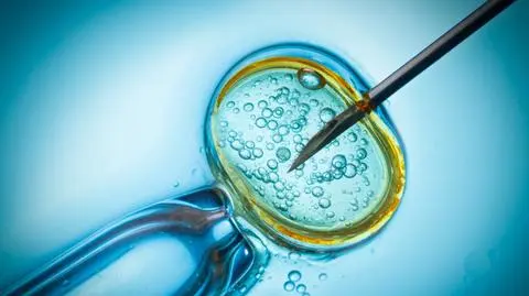 Warszawa jak Częstochowa. Jest decyzja w sprawie in vitro