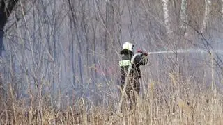 Pożar traw w Markach