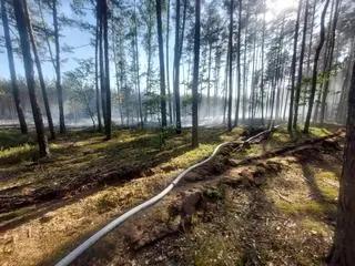 Pożar lasu w Karczewie 