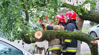 Drzewo spadło na ogrodzenie przedszkola i zaparkowany samochód