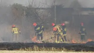 Na miejsce przyjechały dwa zastępy straży 