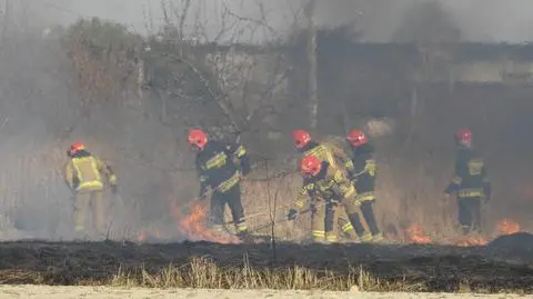 Dym nad Południową Obwodnicą Warszawy. Pożar traw