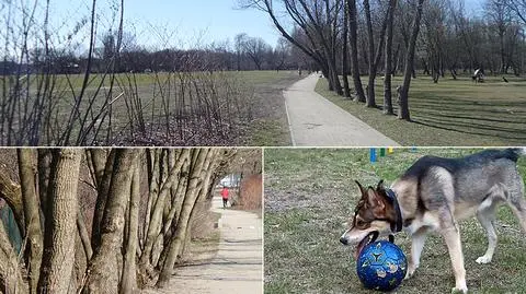 Wybieg, plac zabaw czy boiska? Pytają o przyszłość Pola Mokotowskiego