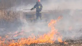 Pożar traw