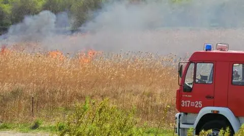 Płonęły trawy przy Jeziorku Czerniakowskim