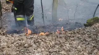 Pożar w Lesie Bielańskim