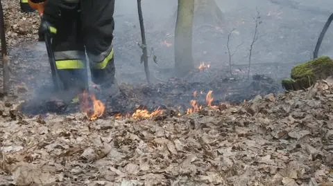 Pożar w Lesie Bielańskim. "Jest bardzo sucho"