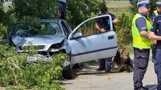 Na miejscu wypadku pracują policjanci z psem tropiącym