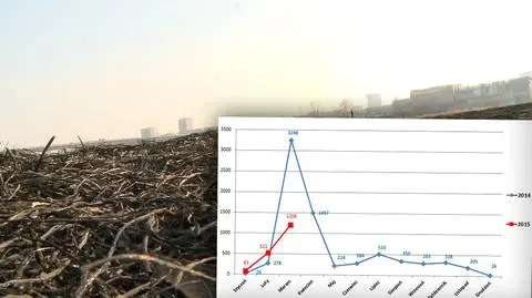 Płoną trawy na Mazowszu. Kulminacja pożarów, pierwsza ofiara 