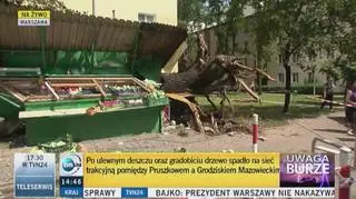 Wielkie drzewo zgniotło warzywniak