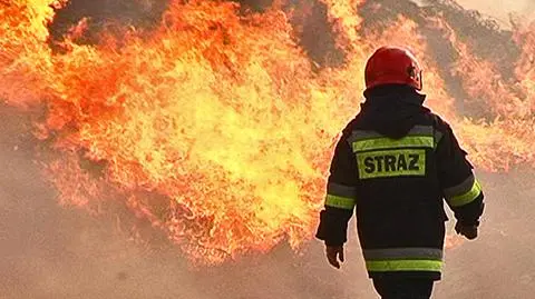 fot. Lech Marcinczak/tvnwarszawa.pl