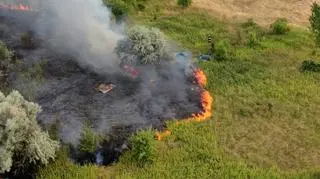 Pożar traw na Annopolu