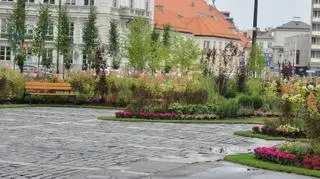 Ogród na parkingu na pl. Teatralnym