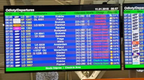 "Ruch na lotnisku odbywa się płynnie". Niektóre loty odwołano