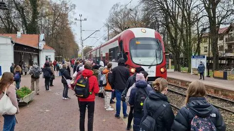 Przez dwie godziny nie kursowały pociągi WKD